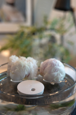 Logo trade mainostuote kuva: Breevia RCS rplasic ladattava kelluva ilmankostutin