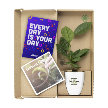 Logotrade reklaminės dovanos nuotrauka: Treemore Letterbox Trees Arbatos augalas