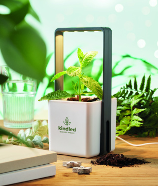 Logotrade dovana nuotrauka: Vidinis sodas su LED apšvietimu
