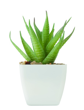 Логотрейд pекламные продукты картинка: Mini artificial plant